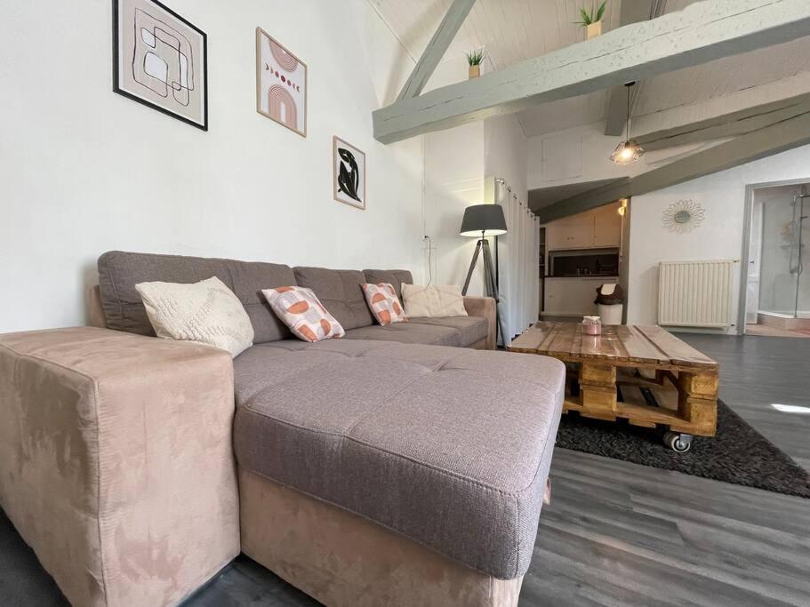 L'Appartement Marceau - 55M2 - Carcassonne Centre Luaran gambar