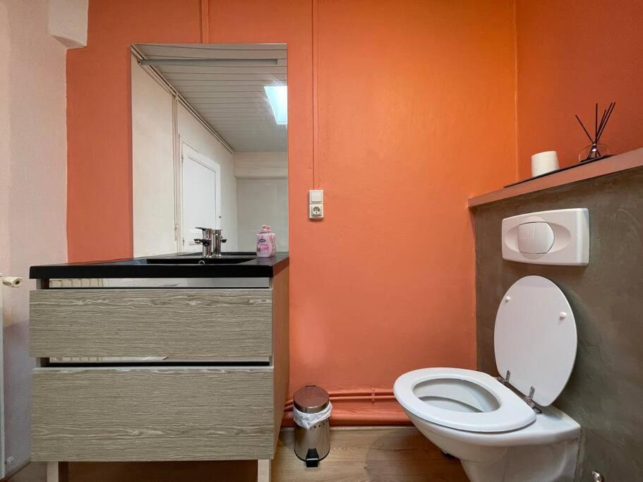 L'Appartement Marceau - 55M2 - Carcassonne Centre Luaran gambar