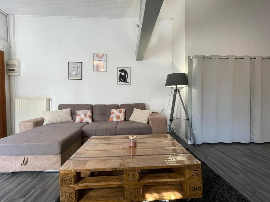 L'Appartement Marceau - 55M2 - Carcassonne Centre Luaran gambar